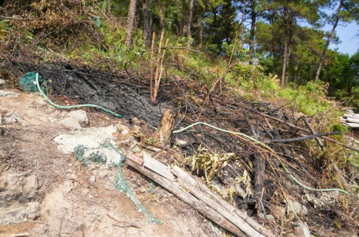 1668999031563476.png image.png